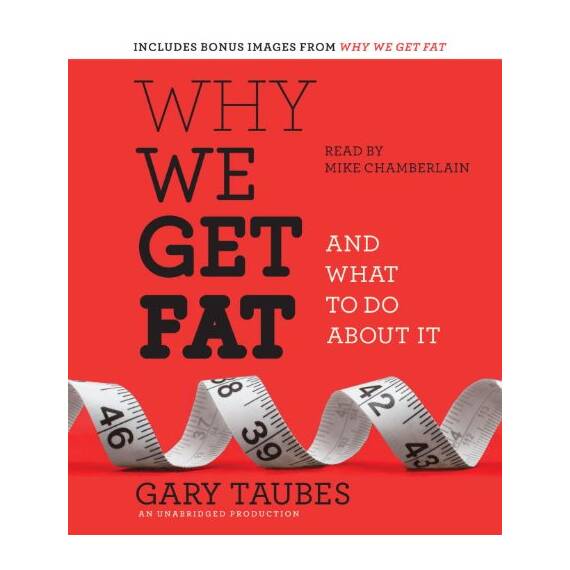 Why We Get Fat