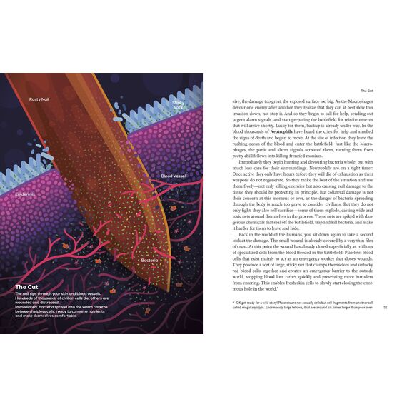 Immune: A Journey into the Mysterious System That Keeps You Alive