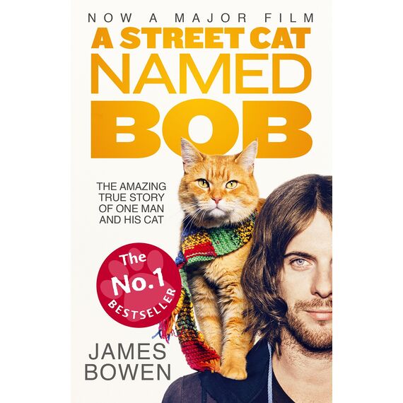 A Street Cat Named Bob: How one man and his cat found hope on the streets (English Edition)