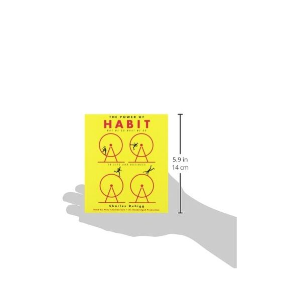 The Power of Habit: Why We Do What We Do in Life and Business