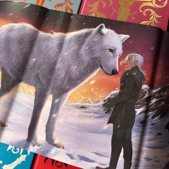 Dire Bound: The hottest enemies to lovers fantasy romance of 2025 and SUNDAY TIMES bestseller (The Wolves of Ruin)