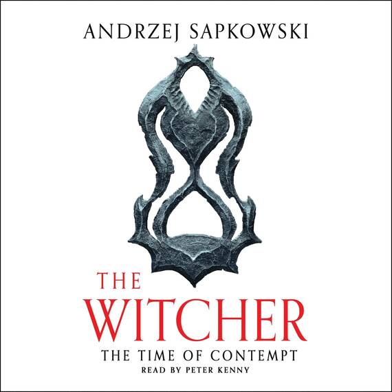 Time of Contempt: The Witcher, Book 2