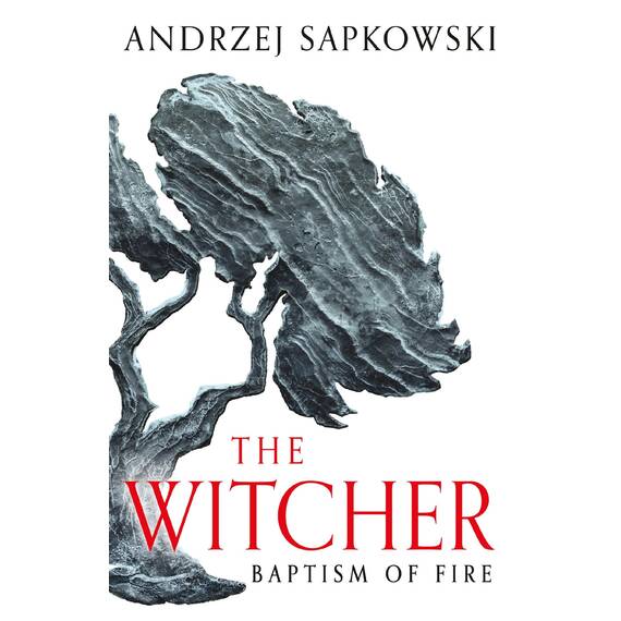 Baptism of Fire: Witcher 3 – Now a major Netflix show (The Witcher Book 5) (English Edition)