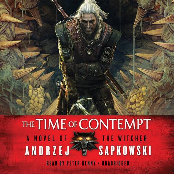 The Time of Contempt (The Witcher, Band 2)