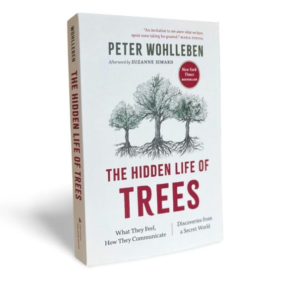 The Hidden Life of Trees: What They Feel, How They Communicate―Discoveries from A Secret World (The Mysteries of Nature, 1)