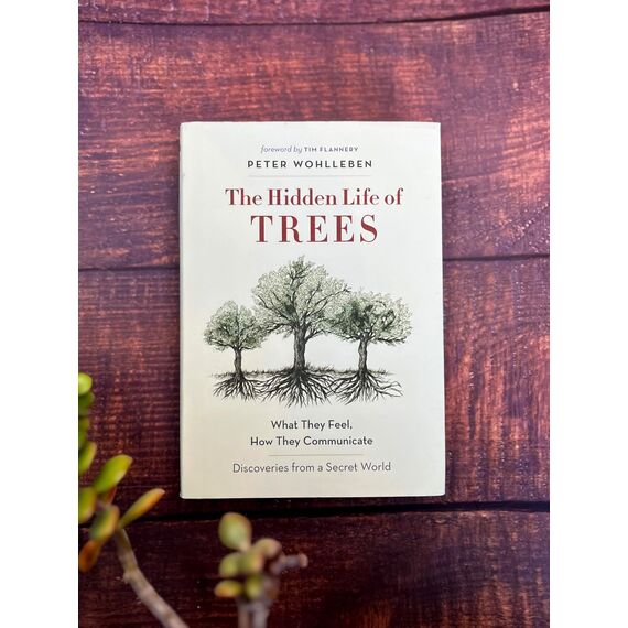 Hidden Life of Trees: What They Feel, How They Communicate―Discoveries from A Secret World (The Mysteries of Nature, 1)