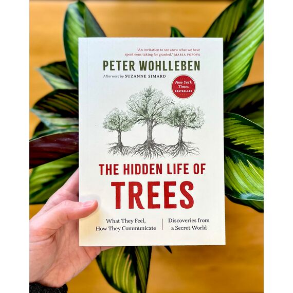 The Hidden Life of Trees: What They Feel, How They Communicate―Discoveries from A Secret World (The Mysteries of Nature, 1)