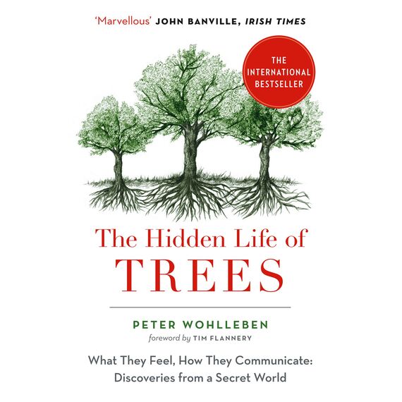 The Hidden Life of Trees: The International Bestseller (English Edition)