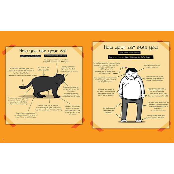 How to Tell If Your Cat Is Plotting to Kill You (The Oatmeal)