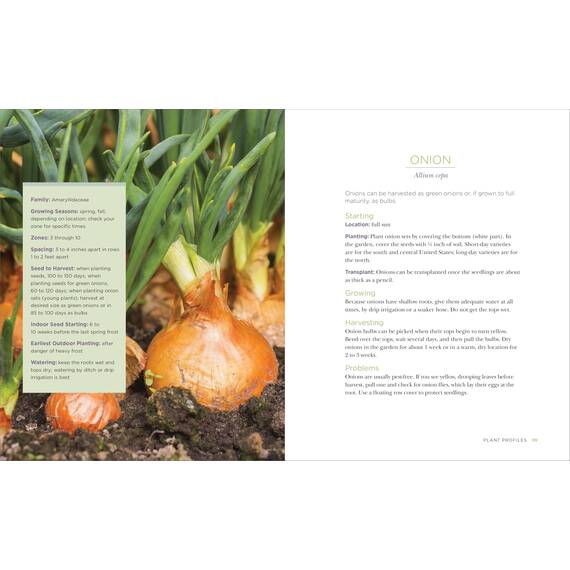 Raised-Bed Gardening for Beginners: Everything You Need to Know to Start and Sustain a Thriving Garden