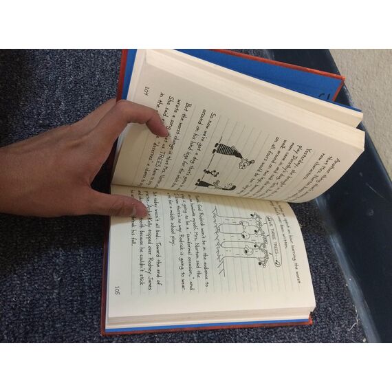 Diary of a Wimpy Kid # 1: A novel in cartoons