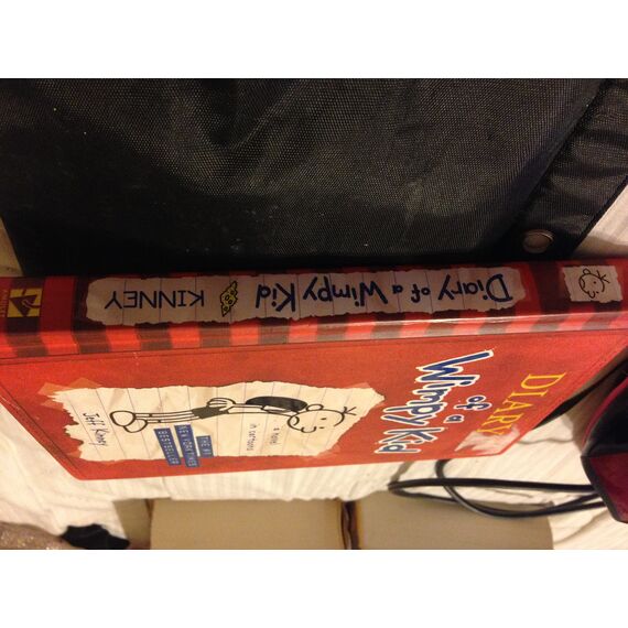 Diary of a Wimpy Kid # 1: A novel in cartoons