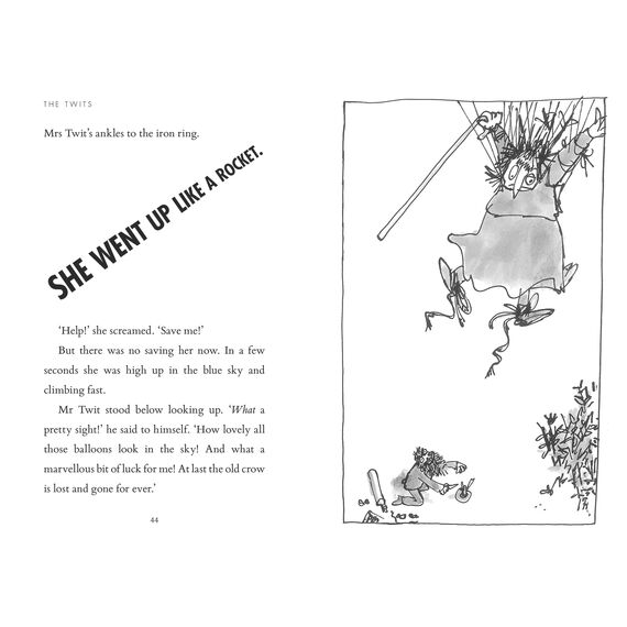 The Twits: Roald Dahl