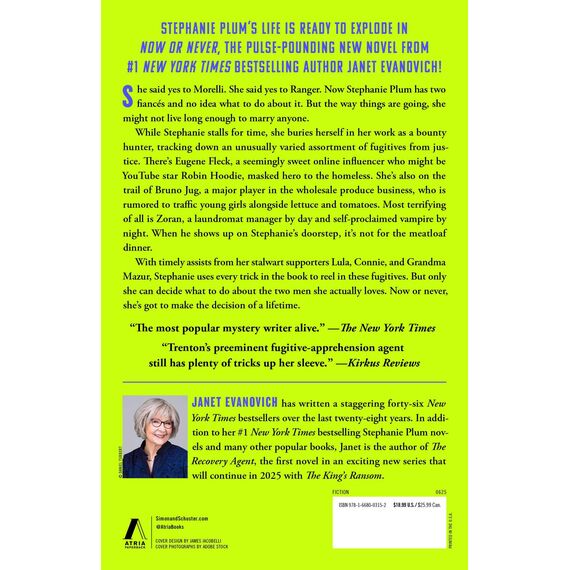 Now or Never (Volume 31): Thirty-one on the Run (Stephanie Plum)