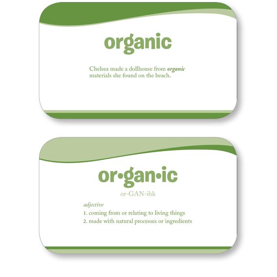 4th Grade Vocabulary Flashcards: 240 Flashcards for Improving Vocabulary Based on Sylvan's Proven Techniques for Success (Sylvan Language Arts Flashcards)