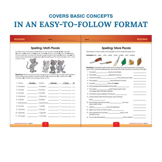 Comprehensive Curriculum of Basic Skills, Grade 5