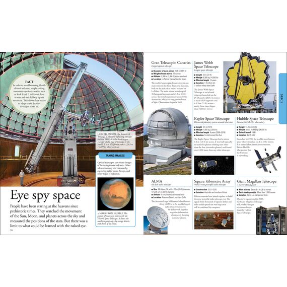 The New Children's Encyclopedia: A Visual Encyclopedia of Thousands of Facts, Stats, and Illustrations (DK Children's Visual Encyclopedia)