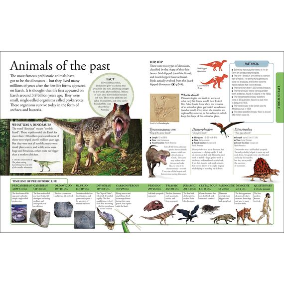 The New Children's Encyclopedia: A Visual Encyclopedia of Thousands of Facts, Stats, and Illustrations (DK Children's Visual Encyclopedia)