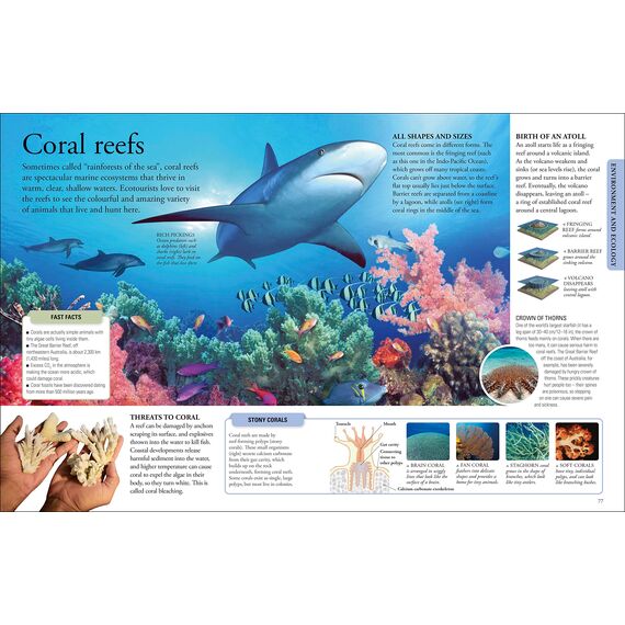 The New Children's Encyclopedia: A Visual Encyclopedia of Thousands of Facts, Stats, and Illustrations (DK Children's Visual Encyclopedia)
