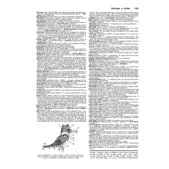 Merriam-Webster's Collegiate Dictionary, 11th Edition