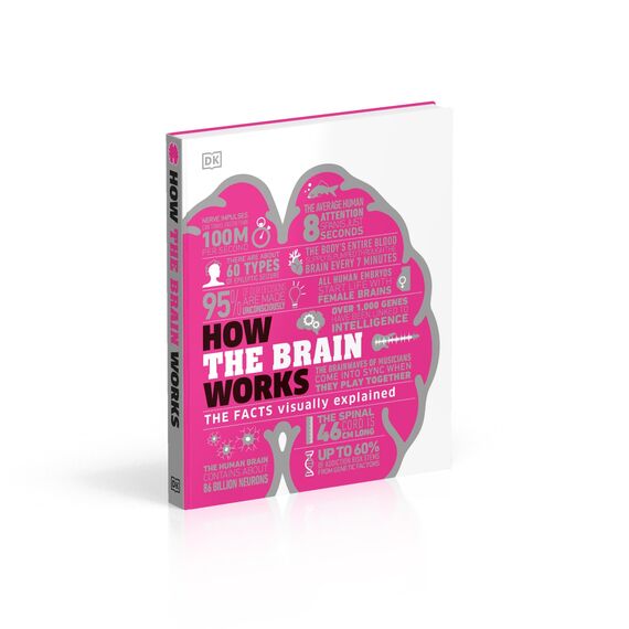 How the Brain Works: The Facts Visually Explained (How Things Work)