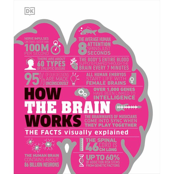 How the Brain Works: The Facts Visually Explained (How Things Work)