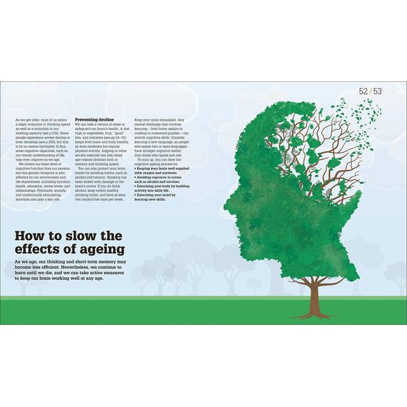 How the Brain Works: The Facts Visually Explained (How Things Work)