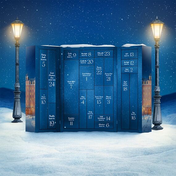 EIS Premium erotischer Adventskalender 2025 für Erwachsene Singles und Paare | 24 sinnliche Sex Geschenke inkl. Satisfyer & FUN FACTORY Sexspielzeuge & Erotik Überraschungen | Warenwert 900€