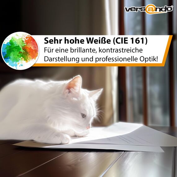 versando 2.500 Blatt Druckerpapier A4 hochweiß CIE161 Premium Kopierpapier (5x 500 Blatt HighWhite 80) strahlende Farben, klare Schrift, in SaferBox PEFC zertifiziert