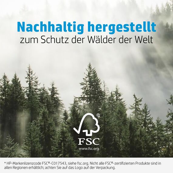 HP Advanced Glossy Fotopapier, glänzend (Q8692A) 250g/m² 10x15cm 100 Blatt, weiß
