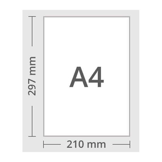 CASTERLI - 81500-5 A4-Blätter, 2500 weiße Blätter, A4-Papier, A4, 80 g Papier, extra weiß, Mehrzweck-Papier für A4-Drucker 80 g/m² (A4, 2500 Blatt)
