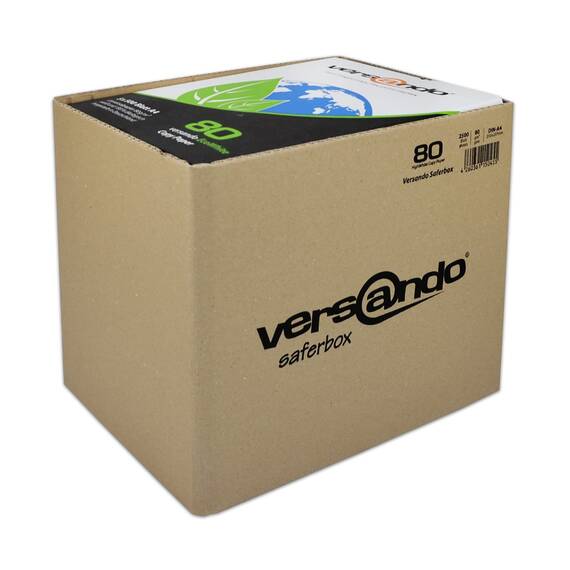 versando 2.500 Blatt Recyclingpapier DIN A4 EcoWhite 80g Kopierpapier Druckerpapier Öko hohe Weiße ISO 90 - Blauer Engel zertifiziert - Umweltpapier in der Saferbox