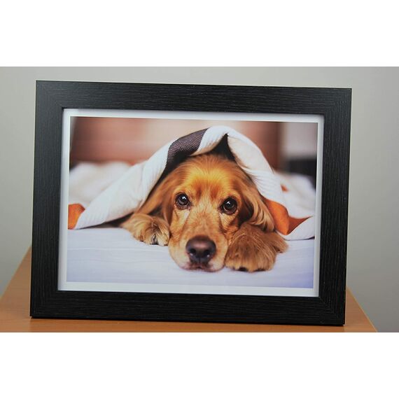 PPD Inkjet 180 g/m2 Fotopapier Glänzend PPD Inkjet 180 g/m2 Fotopapier Glänzend Qualitätspapier Made in Germany DIN A4 x 50 Blatt PPD024-50