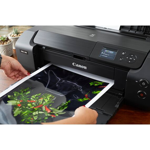 Canon Fotopapier PP-201 Glänzend - DIN A3 20 Blatt Für Tintenstrahldrucker - PIXMA Drucker (265 G/qm)