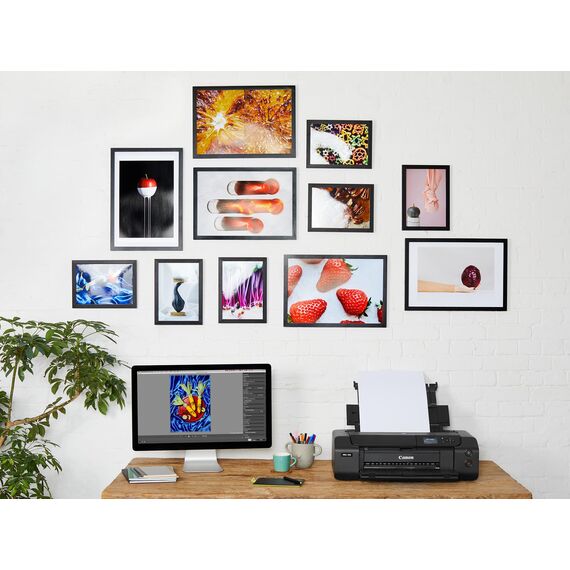 Canon Fotopapier PP-201 glänzend weiß - DIN A4 20 Blatt für Tintenstrahldrucker - PIXMA Drucker (265 g/qm) 2311B019 (Packung mit 2)