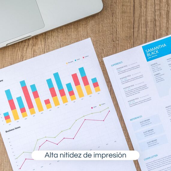 RAYLU PAPER - A4 80g 100 Blatt Premium Mehrzweckpapier für Laserdrucker, Inkjet und Kopierer, für Büro und Zuhause