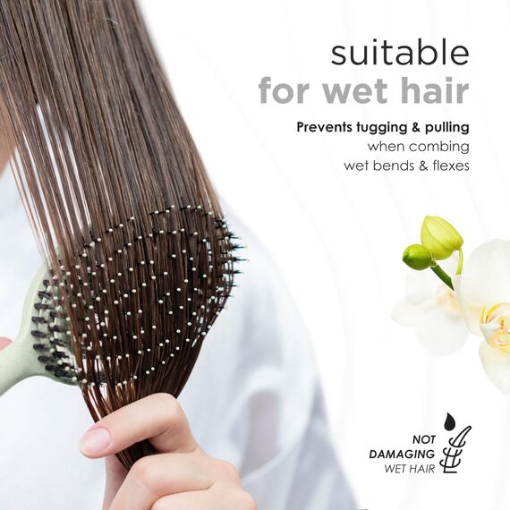 FABCARE Bio Haarbürste mit Wildschweinborsten - Detangler Doppelspiralfeder - Profi Entwirrbürste für jeden Haartyp - Damen (Grün) inkl. Ebook (Packung mit 2)