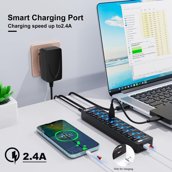 USB Hub Aktiv 3.0 mit Netzteil, VEMONT 11 Ports USB Verteiler (10*3.0 Ports,1 Intelligenter Charging Port)mit 12V/3A Netzteil,USB Splitter mit Individuellen Schalter & 1,2m Langes Kabel für PC/Laptop