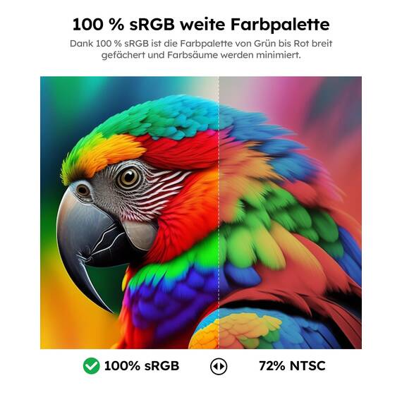 Dopesplay Portable Monitor 10,5", HDR 1920 x 1280 Ultradünn 100% sRGB Tragbarer Monitore, 420 Nits Mini Zweiter Display mit Schutzhülle & Lautsprecher, USBC/HDMI Monitore für Laptop, PC, Phone