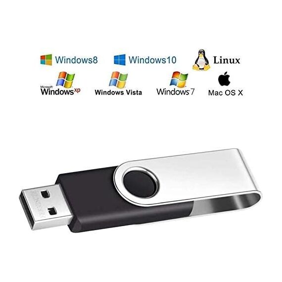 FEBNISCTE USB Stick 1GB 10 Stück Memory Sticks Einklappbarer USB Flash Laufwerke 1 GB USB 2.0 Speicher Sticks Schwarz Pendrive Datenablage Flash Drive mit Handgelenkseile für Kinder by