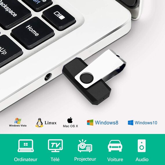 RAOYI 10 Stück USB Stick 4GB, USB 2.0 Flash Laufwerk Schwenken Speicherstick mit Metalldeckel für Laptop/PC/TV/Autoradio - Schwarz