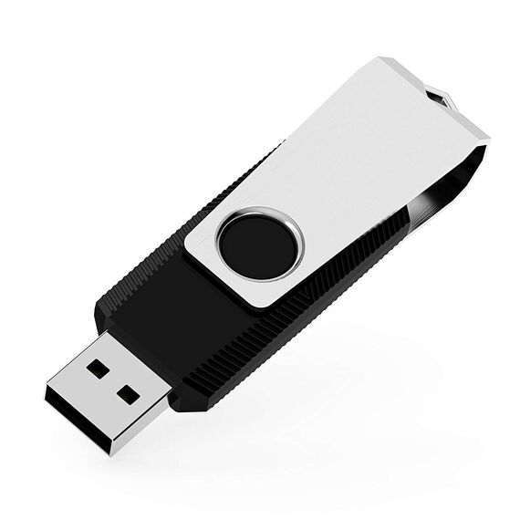 RAOYI USB Sticks 8GB 10er Pack 8GB USB 2.0 Speicherstick mit Schwenkbarem Metalldeckel, High-Speed Flash Drive für Laptop, PC, TV, Autoradio Schwarz