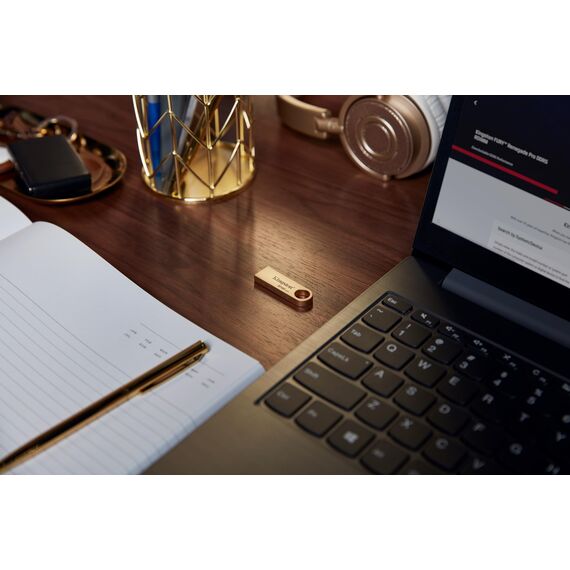 Kingston DataTraveler SE9 Gen 3 - 256GB - 220MB/s beim Lesen - Metall - USB-Stick 3.2 Gen 1 -Gold