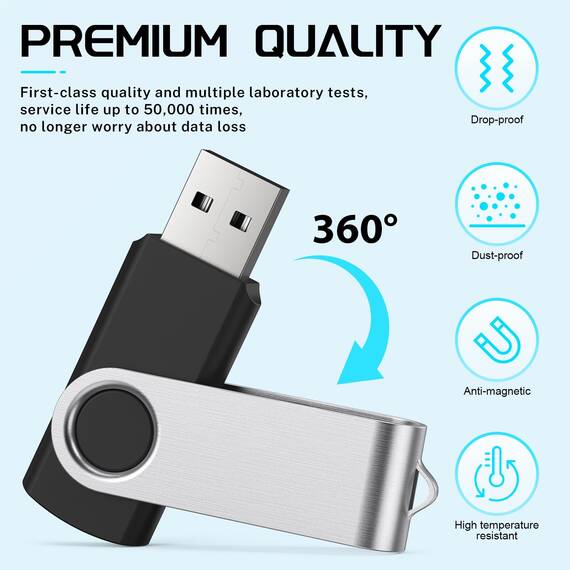 FEBNISCTE 10 Stück USB Sticks 2GB- Flash Laufwerke Verschiedenfarbigen Speicherstick 2 GB Einklappbarer, PenDrive Metall Gut Flash Drive Bunt USB 2.0 Memory Stick mit Seil für Werbegeschenke