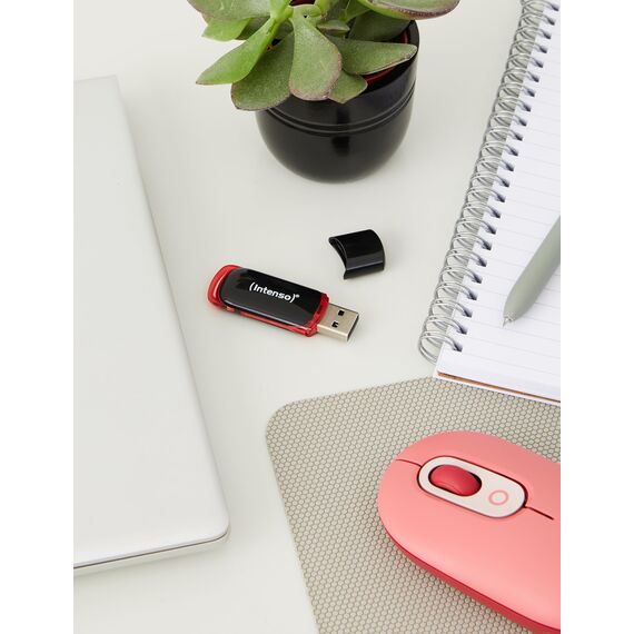 Intenso Business Line 8 GB USB-Stick USB 2.0 schwarz-rot (Packung mit 2)