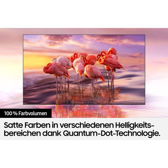 Samsung QLED 4K Q60A TV 50 Zoll (GQ50Q60AAUXZG), Quantum HDR, Quantum Prozessor Lite 4K, 100% Farbvolumen [2021]