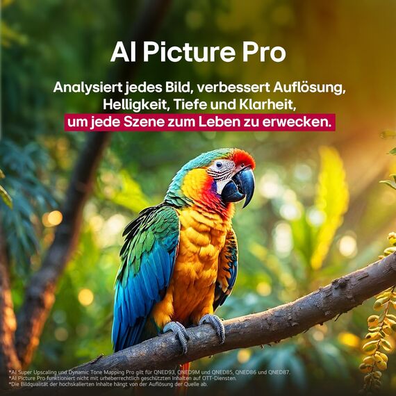 LG 75QNED86A6A TV 75 Zoll (190 cm) 4K QNED evo AI TV (α8 Gen2 4K AI Prozessor, webOS 25, 120Hz (VRR bis zu 144Hz)) [Modelljahr 2025]