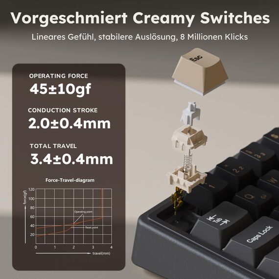 RK ROYAL KLUDGE R65 Mechanische Tastatur Kabellos, 60% Prozent Gaming Tastatur QWERTZ Gasket RGB mit Knopf und PBT Tastenkappen, Bluetooth/2.4G/USB-C QMK/VIA, Hot Swap Linearer Creamy Switches