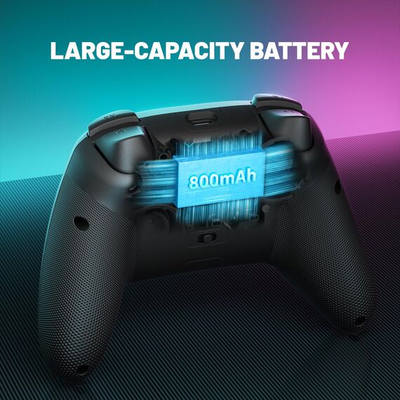 ECHTPower PC Wireless Controller, 1000Hz Gaming-Controller mit RGB/Hall-Joystick/Turbo/Vibration/800mAh Wiederaufladbare Batterie, Wireless-Controller für PC/Switch 2/Switch/Steam Deck/Android/iOS/TV
