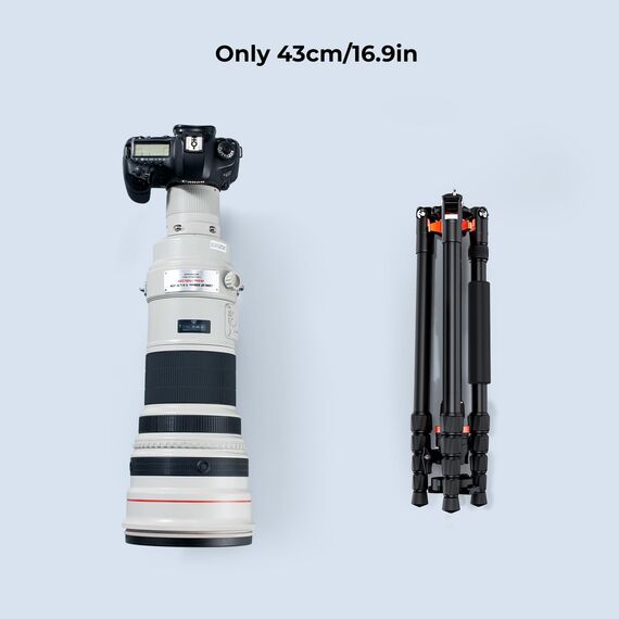 K&F Concept Kamera Stativ, Tripod mit 360°Kugelkopf, Tragbares Stativ für Canon Nikon Sony und andere DSLR Kameras, Aluminium Fotostativ Einbeinstativ K255A4+BH-28L